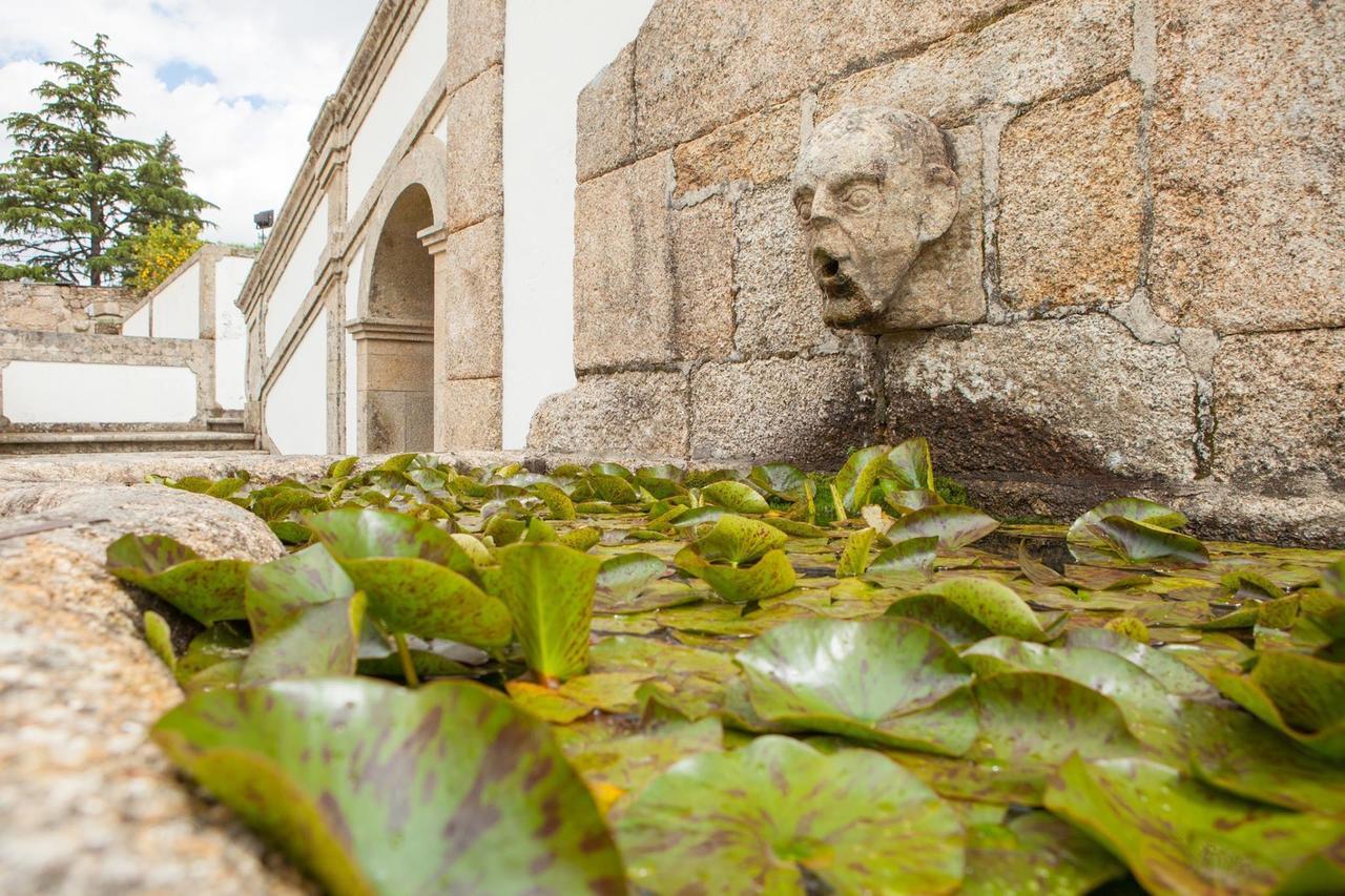 Casa De Quinta Villa Marco de Canavezes Eksteriør bilde